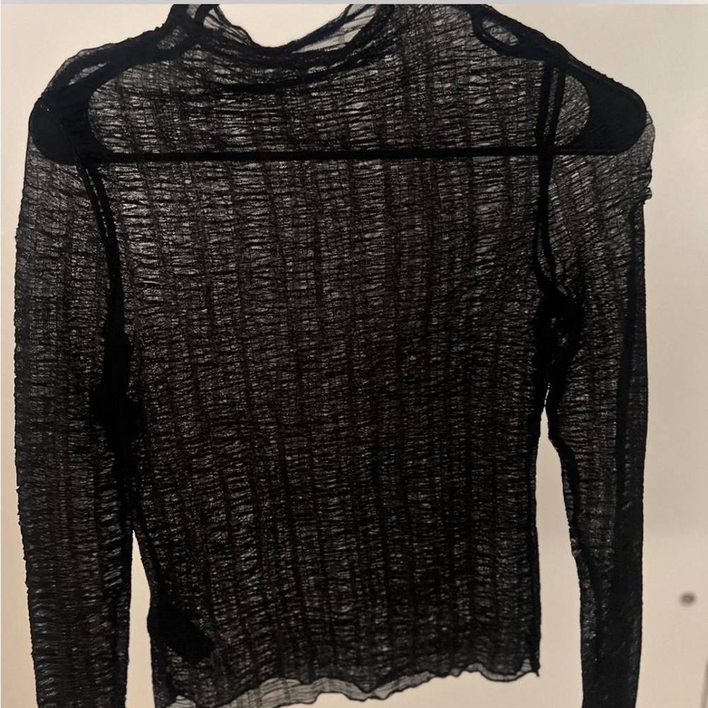Sheer Black Long Sleeve Top